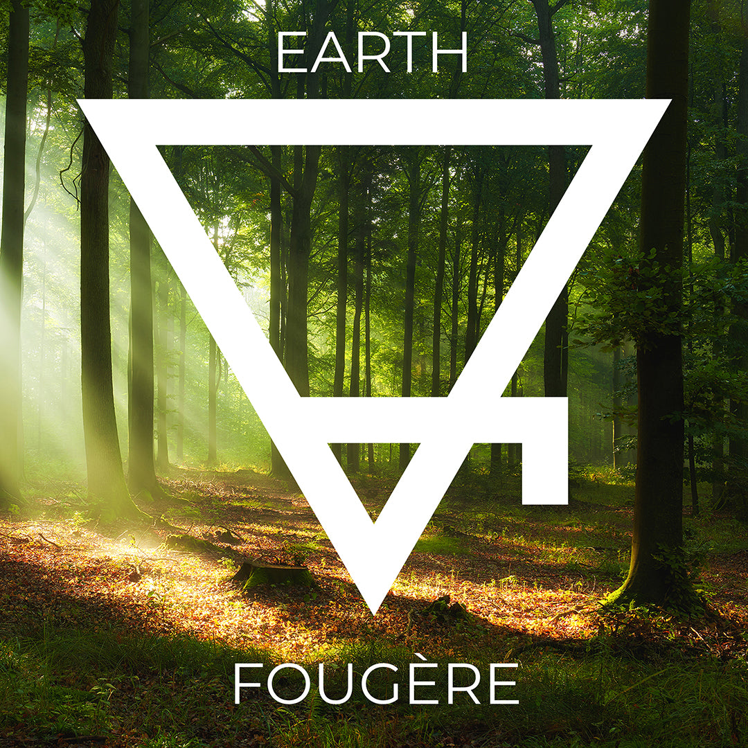 🜃 Earth | Fougère