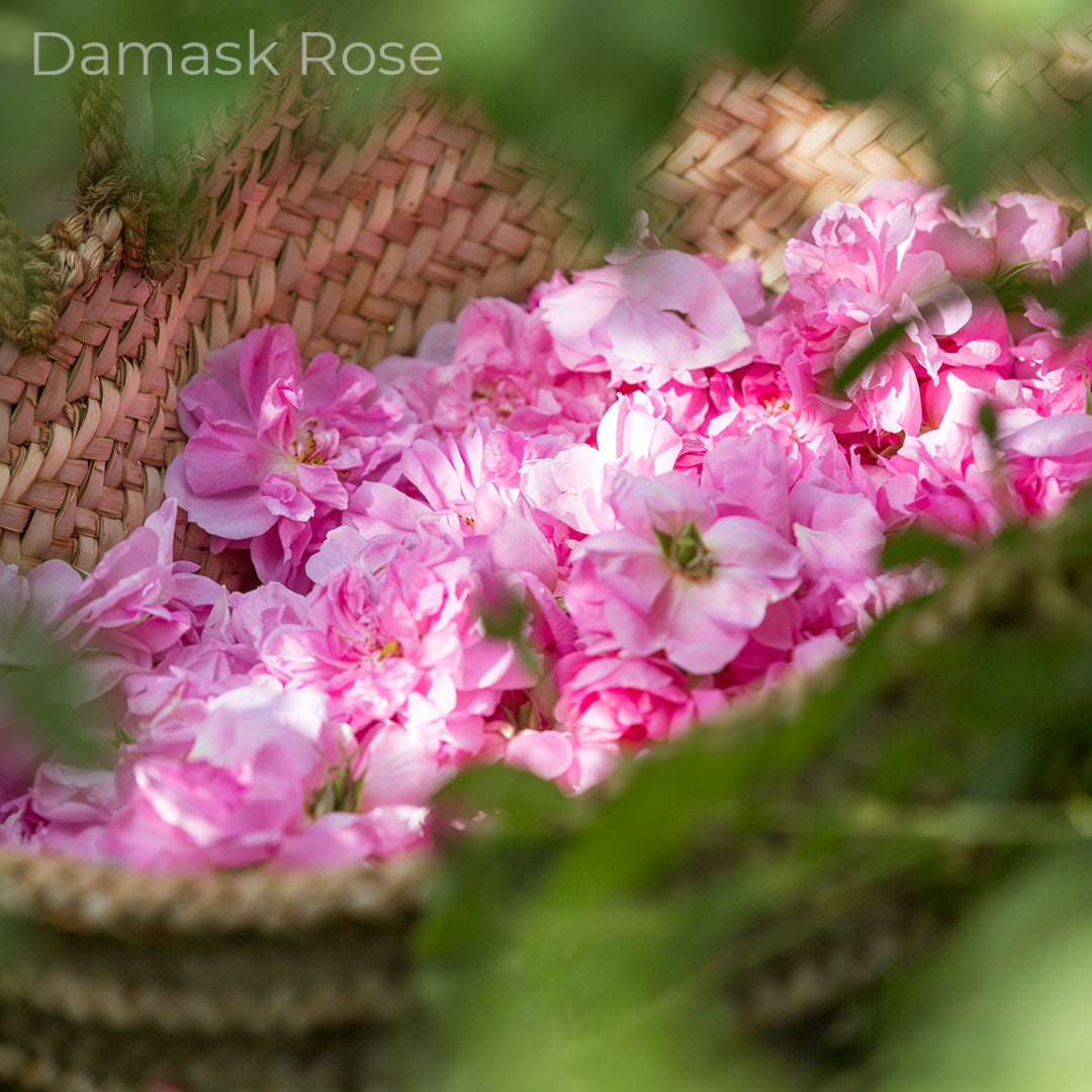 Hand and Foot Balm: Damask Rose Butter