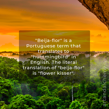 Beija-Flor- Solid Perfume  🌺 -NEW!